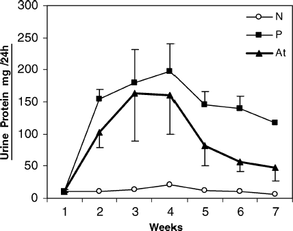 Figure 1  Time course of the mean values of proteinuria in different groups of N, P, At in experimental nephrosis. N, normal rats (n = 8); P, patient (nontreated) rats that show increase of proteinuria levels after day 6 (n = 11); At, treated group by intramuscular (i.m.) injection of artemether, 5 mg/kg (n = 11). Note: A single intravascular injection of adriamycin (7.5 mg/kg body weight) induced a severe nephrotic syndrome. Onset of i.m. administration of artemether was day 6 (after development of disease). There were significant differences between nontreated (P) and artemether-treated rats (At). p < .05 was considered to be significant.