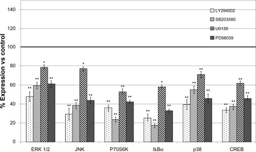 Figure 4 Modulation of protein expression of signal transduction molecules in U87 glioblastoma cell line treated with pharmacological inhibitors LY294002, PD98059, U0126, and SB203580.