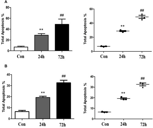 Figure 4 1h and 1j induced apoptosis in cancer A549 cells at 24 and 72 hrs. **p<0.01 vs Con. ## p<0.01 vs 24hrs.