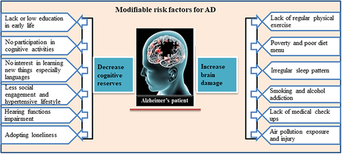 Figure 1 Figurative description of a modified risk factor for AD developments.