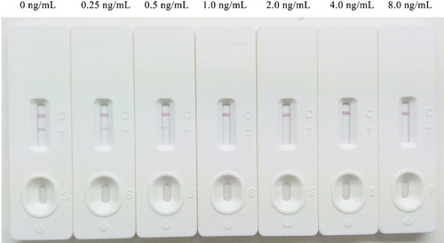 Figure 5. Standard DCF samples were tested using the ILFST and the T lines with the naked eyes.