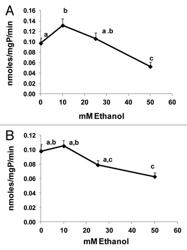 Figure 4. Ethanol dose-dependently affected cathepsin activity. (A) CTSB-specific activity, and (B) CTSL-specific activity in VL-17A cells after 24 h treatment with the indicated ethanol concentrations. Data are mean values (± SEM) from quadruplicate flasks per treatment. Letters that are different from each other indicate that the data are significantly different from each other. Data with the same letter are not significantly different.