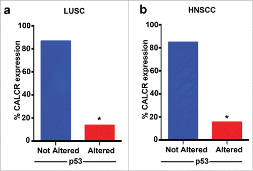 Figure 2. CALCR expression in patient cohort with p53-mutations. Graphical representation of expression of CALCR in patients with p53-mutations in lung squamous cell carcinoma (LUSC) (a) and head and neck squamous cell carcinoma HNSCC (b).