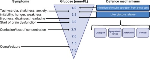Figure 1 Symptoms and defence mechanisms in relation to glucose levels in the subnormal range.