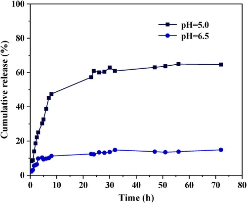 Figure 5. DOX release profiles of the DOX-loaded vesicles in the aqueous buffer solutions at pH = 6.5 and at pH = 5.0 (cumulative release (%) vs. time (h)).