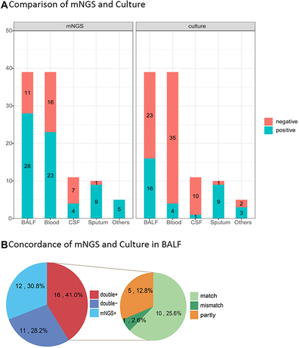 Figure 5 The positivity rate between mNGS and culture for different sample types. (A) Compared with the culture, mNGS increased the overall sensitivity by 34.6% (66.3% vs 31.7%). In cases of BALF and blood samples, mNGS detection had significantly higher sensitivity than the culture method (P = 0.034 for BALF, P < 0.01 for blood). (B) In all the 39 cases of BALF sample performed both mNGS and culture, high concordance for pathogen detection of BALF was shown in 16 double-positive cases of mMGS and culture. Only one case of mismatch was observed (2.6%), while 10 cases were total matched (25.6%).