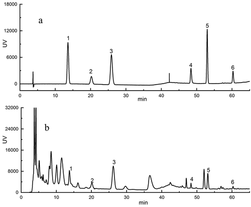Figure 1. HPLC of the phenolic extracts from jujube (a: Standard; b: ‘QXYZ.’)