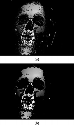 Figure 6. The disparity image for one view, (a) before median filtering and (b) after median filtering.