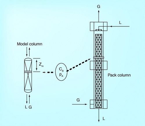 Figure 6.  Pilot plant technique.Modified from with permission from Citation[20].CB: Concentration; G: Gas; L: Liquid; PA: Partial pressure; Zm: Height.