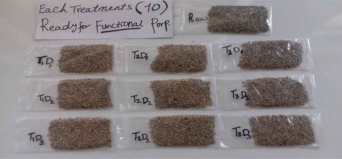 Figure 1. Malted temash grain used in the study