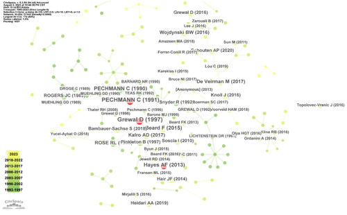 Figure 8. Document co-citation network.