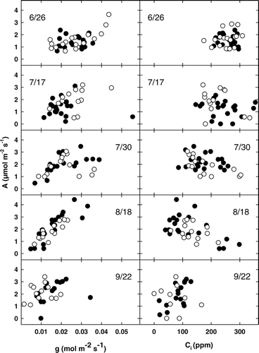 FIGURE 4.  Mean daily photosynthesis (A) versus leaf conductance (g) and intracellular CO2 concentration (C i) for A. lasiocarpa (open symbols) and P. engelmannii (solid symbols) over five measurement days (26 June, 17 July, 30 July, 18 August, and 23 September 2002) at AS