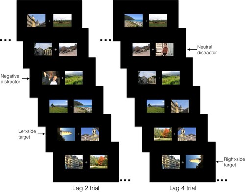 Figure 1. Examples of 6 (out of 17) frames from a Lag 2 and Lag 4 trial in Experiment 1a–1b. Note. Each frame appeared for 100 ms. In the lag 2 example trial, a negative distractor appears two items before a left-side target (rotated to the right). In the lag 4 example trial, a neutral distractor appears four items before a right-side target (rotated to the left). For copyright reasons, the images included in this schematic are from the authors collections and were not used in the study.