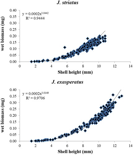 Figure 7. Increase in shell height frequency in relation to wet biomass (mg), for each Jujubinus population and relative equation parameter of the curve, in 1 year of sampling (July 1981–June 1982).
