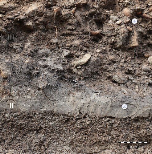 Figure 9. Closeup from Section I. Unit I: medium coarse sand with some angular to sub-angular cobbles. Unit II: homogenous, grey, fine sand. Unit III: matrix of well-rounded, cobbles- to pebble-size gravel intermixed in coarse sand. Notably, a clearly defined and sharp boundary separates Unit I from Unit II (photo: Leif Inge Åstveit).