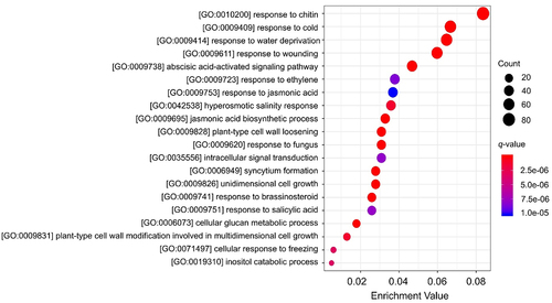 Figure 7. cAMP-mediated DEGs are mainly enriched in functions relevant to hormonal, abiotic and biotic stress responses, as well as growth and development. Gene ontology (GO) enrichment analysis was performed with the 1465 DEGs identified in Figure 6a, and the results are listed in table S5. Only the top 20 significantly enriched GO biological process terms are shown in the figure. The X-axis on the bottom indicates the enrichment value that represents the ratio of the enriched genes to the total number of genes in a certain GO biological process term in the database, while the Y-axis on the left indicates the enriched terms. The size and color of each dot represent the count of DEGs enriched in the indicated term and enrichment significance (q-value), respectively, both of which are illustrated by the scale legends on the right side of the chart.