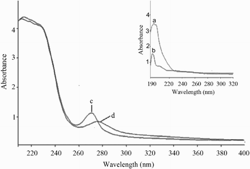 Figure 9. UV spectra of 3-Ac-NEOS (a), 3-Ac-NEOS-HS (b), BSA (c) and 3-Ac-NEOS-HS-BSA (d).