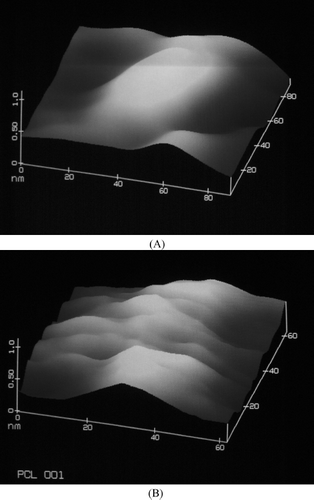 FIG. 3.  Atomic force microscopy image of formulation prepared with (A) PLGA 50/50 and (B) PCL.