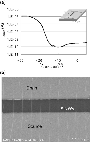Figure 4 (a) FET characteristics of SiNW device using back-gate modulation; (b) SiNW FET device for biosensor application.