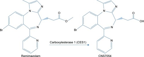 Figure 1 Remimazolam metabolism: the parent drug remimazolam is hydrolyzed by carboxylesterase 1 to the inactive metabolite CNS7054.