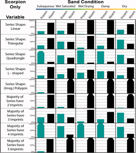 Figure 11. Experimental scorpion trackway trends for series shape and number of imprints per series, split by five sand conditions (all slopes included in each of the five conditions, so variability due to slope is accounted for). Shown are the percentages of analyzed trackway segments (ATS) in a condition that are present and absent. Tapering added to bars near 100% for visual clarity.