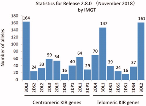 Figure 4. Next-generation sequencing identified many allelic polymorphisms of KIRs.