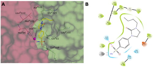 Figure 9. (A) Predicted 3D binding mode and (B) corresponding ligand interaction diagram of the most selective ligand 9c (yellow) within VchβCA (grey and pink). The compound is represented as a stick and the protein surface is visualised.