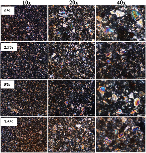 Figure 1. Microstructure of the chocolate bars fortified by SLN-ferrous sulfate.