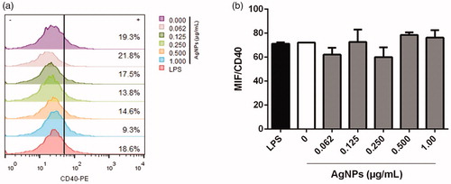 Figure 7. Co-stimulatory CD40 molecule expression on MHC11+CD11c+ BMDC after 12 h exposure to AgNP. (a) Percentage CD40+ cells. (b) MIF for CD40 expression among CD40+ cells. LPS-treated cells = positive control. Values shown are means ± SD (n = 3/treatment).