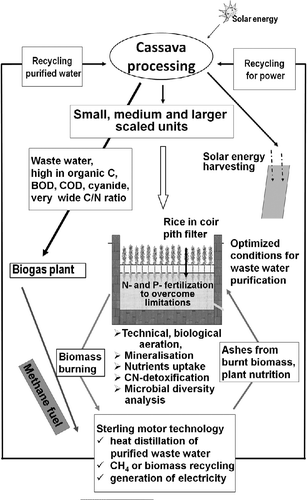 Figure 4 Proposed sago factory wastewater treatment system for achieving process water reuse (Ranjithkumar et al. Citation2010).