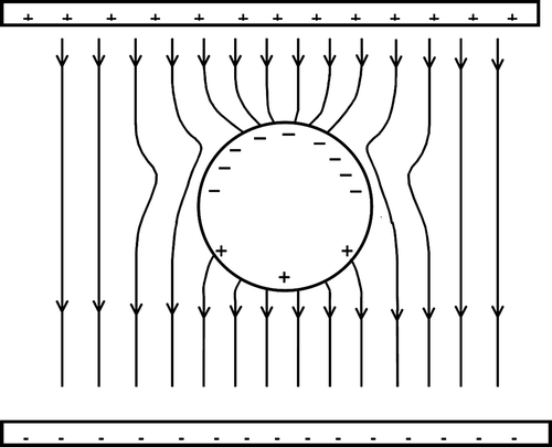 Figure 6. Negative charged sphere in an applied uniform electric field.