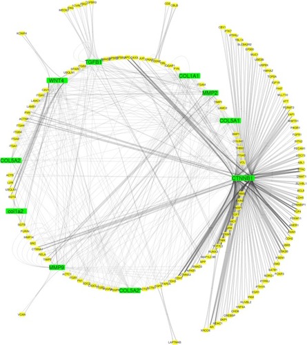 Figure 11 Network interaction of wound healing genes with collagens.