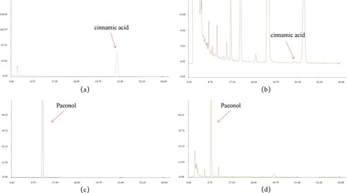 Figure 1. Content of cinnamic acid and paeonol in GZFLW. (A) Cinnamic acid reference. (B) Cinnamic acid in the sample. (C) Paeonol reference. (D) Paeonol in the sample.