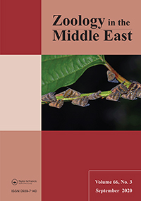 Cover image for Zoology in the Middle East, Volume 66, Issue 3, 2020