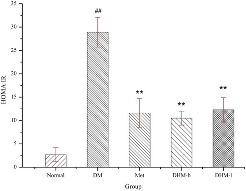 Figure 5 HOMA-IR index in db/db mice at week 18. DHM treatment significantly reduced the HOMA-IR index. Normal: C57BL, DM: untreated db/db mice, Met: metabolically abnormal obese db/db mice treated with metformin, DHM-h and DHM-l: db/db mice treated with DHM at 1.0 and 0.5 g/kg BW. ##p<0.05 compared with the normal group. **p<0.05 compared with the DM group.