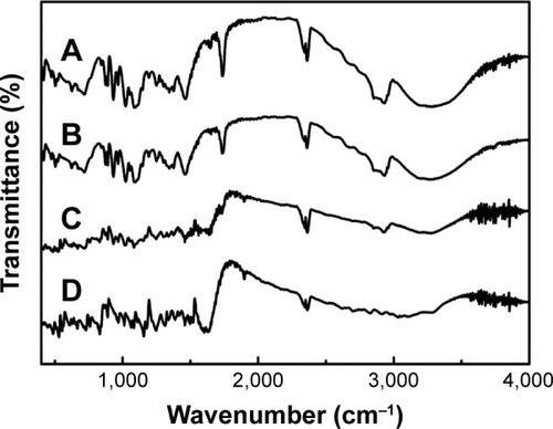 Figure 7 FT-IR spectra of NRG-SLNs (A), blank-SLNs (B), physical mixture of NRG and blank-SLNs (C), and NRG (D).