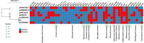 Figure 2 Maximum-likelihood tree and heatmap of prevalence of resistance genes in the seven plasmids. Bootstrap is shown with blue dots next to each branch. The bar corresponds to the scale of sequence divergence.