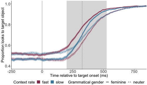 Figure 4. Proportion of looks to target object across time for feminine targets (solid) and neuter targets (dashed) in fast (red) and slow contexts (blue). The feminine-fast (solid red line) and neuter-slow (dashed blue line) conditions represent the Congruent conditions; the feminine-slow and neuter-fast conditions represent the Incongruent conditions. Time point 0 marks the onset of the earliest disambiguating cue (onset of the target word for feminine targets, morpheme -s on the preceding adjective for neuter targets), indicated by the vertical solid line. The vertical dotted line indicates the mean offset of the first target word syllable. Shown in grey is the area of interest, spanning from 200 ms after onset of the disambiguating cue until 200 ms after the mean offset of the initial target word syllable. Shading around the coloured lines represent the standard error of the mean.