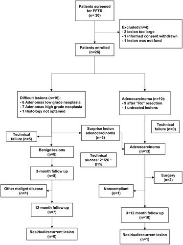 Figure 1. Flowchart of patient selection and study outcomes.