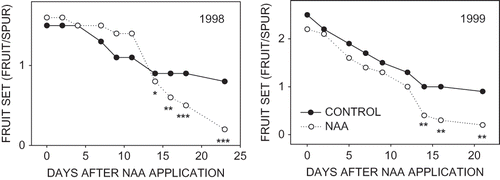 FIGURE 4 Fruit retention of ‘McIntosh’ apples on untreated spurs and those treated with NAA at the 8- to 10-mm stage of fruit development. At least 95% of the fruit abscission had occurred on the last evaluation date, 23 and 21 days after NAA application in 1998 and 1999, respectively.