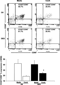 FIG. 5. CD28+ CD90+ unstimulated and ConA stimulated splenocytes from female mice given prenatal oil or DES treatment. C57BL/6 mice were exposed to either DES (0.25 μg) (nfemale = 6) or oil (nfemale = 6) during prenatal development. At 1 year of age, all mice were given 30 μg DES/kg BW. Splenocytes were stained for CD28 co-stimulatory marker expressed on T-cells (CD90). The top panel (Figure 5A) shows representative data of female splenocytes. The bottom panel (Figure 5B) shows data presented as mean ± SEM of CD28 expression on T-cells cultured in the presence or absence of ConA for 24 hours in female mice. Differences between prenatal treatments were considered significant when p < 0.05. The relative percentages of CD28 expression on T-cells in media cultures included (Femaleoil = 49.4 ± 7.7, FemaleDES = 40.7 ± 7.1, Maleoil = 49.4 ± 7.0, MaleDES = 48.5± 7.3). a denotes significant difference between cultured splenocytes stimulated with ConA from females given DES and females given prenatal treatment.