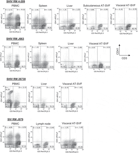 Figure 3. Assessment of potential platelet interactions with T cells prepared from different tissues of monkeys. Single cells were prepared from PBMC, spleen, lymph node, liver, or subcutaneous and visceral AT-SVF cells of infected monkeys. Cells were then examined for coexpression of the CD41 platelet marker with CD3+ T cells by flow cytometry. Shown are sample CD3/CD41 dotplots of cells (gated on lymphocytes in the light scatter plot) from different tissues of four different monkeys, indicating CD3+CD41+ cells (platelet contamination of T cells) occur mostly in PBMC and spleen preparations.