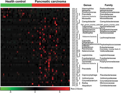 Figure 3. Heat maps of the relative abundances of the discriminatory OTUs that drive the differences between PCT and HT.For each sample, the columns show the relative abundance data of the discriminatory OTUs listed to the right of the figure. The relative abundance of each OTU was used to plot the heat map (blue, low abundance; red, high abundance). The group information was shown above the plot: healthy controls on the left with green line, PC patients on the right with red line. Each row represents one OTU. The family and genus of each key OTU are noted to the right of the figure. The top six OTUs were found enriched in healthy controls, and the rest OTUs enriched in pancreatic cancer patients. PCT, pancreatic cancer patients tongue coat; HT, healthy subjects tongue coat.