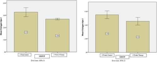 Figure 4 Collagen type I standard-error chart: second and fourth weeks of observation.