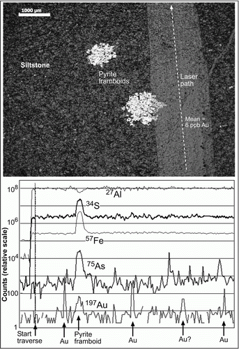 Figure 6  Scanning electron image (upper) of a siltstone across which a LA-ICP-MS scan obtained elemental variations (lower).
