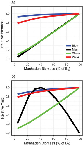 FIGURE A.2.1. Simulated (a) relative biomass and (b) relative yield for Atlantic Menhaden and three predators as functions of Atlantic Menhaden biomass. The Atlantic Menhaden biomass was calculated as B/B0, where B0 is biomass in the unfished scenario, holding all other model parameters and fishing rates constant. Colored lines represent Bluefish (Blue), Atlantic Menhaden (Menh), Striped Bass (Sbass), and Weakfish (Weak), as labeled in panel a.