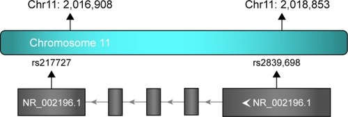 Figure 1 Relative position of rs217727 and rs2839698 in H19.