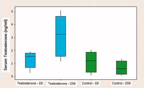 Figure 1. Box-plot of the values of serum testosterone in the testosterone and control groups on D0 (beginning of the experiment) and D56 (animal sacrifice).