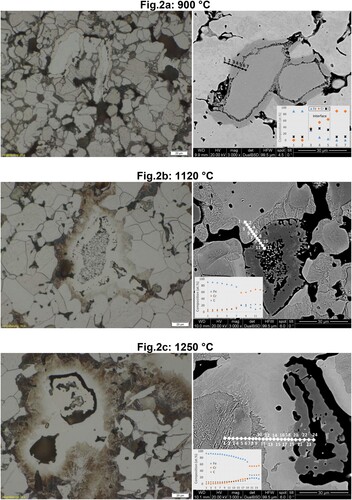 Figure 2. Microstructures of Fe-4%Cr-0.5%C (Cr powder d50∼45 µm) sintered in Ar at 900°C (a), 1120°C (b) and 1250°C (c). (Left) LOM Images of the cross sections. (Right) SEM image with EDS line scanning in the Cr-Fe interface.