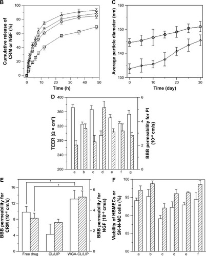 Figure 1 Characteristics of particle morphology (A), drug release kinetics (B), physical stability (C) of LIP carriers and BBB integrity (D), transmigration efficacy across the BBB (E), and cytotoxicity after treatment with LIP carriers (F).Notes: (A) (a) SEM image of CRM-LIP, (b) SEM image of WGA-CRM-CL/LIP, (c) TEM image of CRM-LIP, and (d) TEM image of WGA-CRM-CL/LIP; (B) (Δ) CRM-LIP, (◊) CRM-CL/LIP, (○) WGA-CRM-CL/LIP, and (□) WGA-NGF-CL/LIP; (C) (○) WGA-CRM-CL/LIP and (□) CRM-LIP; (D) a: control, b: free CRM, c: free NGF, d: CRM-CL/LIP, e: NGF-CL/LIP, f: WGA-CRM-CL/LIP, and g: WGA-NGF-CL/LIP, empty column for transendothelial electrical resistance and column with skew lines for permeability for propidium iodide; (E) empty column for CRM, column with skew lines for NGF (#P<0.05); and (F) a: CRM, b: NGF, c: CRM-CL/LIP, d: NGF-CL/LIP, e: WGA-CRM-CL/LIP, and f: WGA-NGF- CL/LIP, empty column for HBMECs and column with skew lines for SK-N-MC cells; n=3.Abbreviations: LIP, liposomes; CRM, curcumin; CL, cardiolipin; WGA, wheat germ agglutinin; TEER, transendothelial electrical resistance; PI, propidium iodide; BBB, blood–brain barrier; SEM, scanning electron microscopic; CL/LIP, CL-conjugated LIP; WGA-CL/LIP, CL-conjugated LIP modified with WGA; CRM-LIP, liposomes loaded with CRM; WGA-CRM-CL/LIP, WGA-grafted and CL-conjugated liposomes loaded with CRM; TEM, transmission electron microscopic; CRM-CL/LIP, CL-conjugated liposomes loaded with CRM; WGA-NGF-CL/LIP, WGA-grafted and CL-conjugated liposomes loaded with CRM; NGF, nerve growth factor; NGF-CL/LIP, CL-conjugated liposomes loaded with NGF; HBMEC, human brain-microvascular endothelial cell.